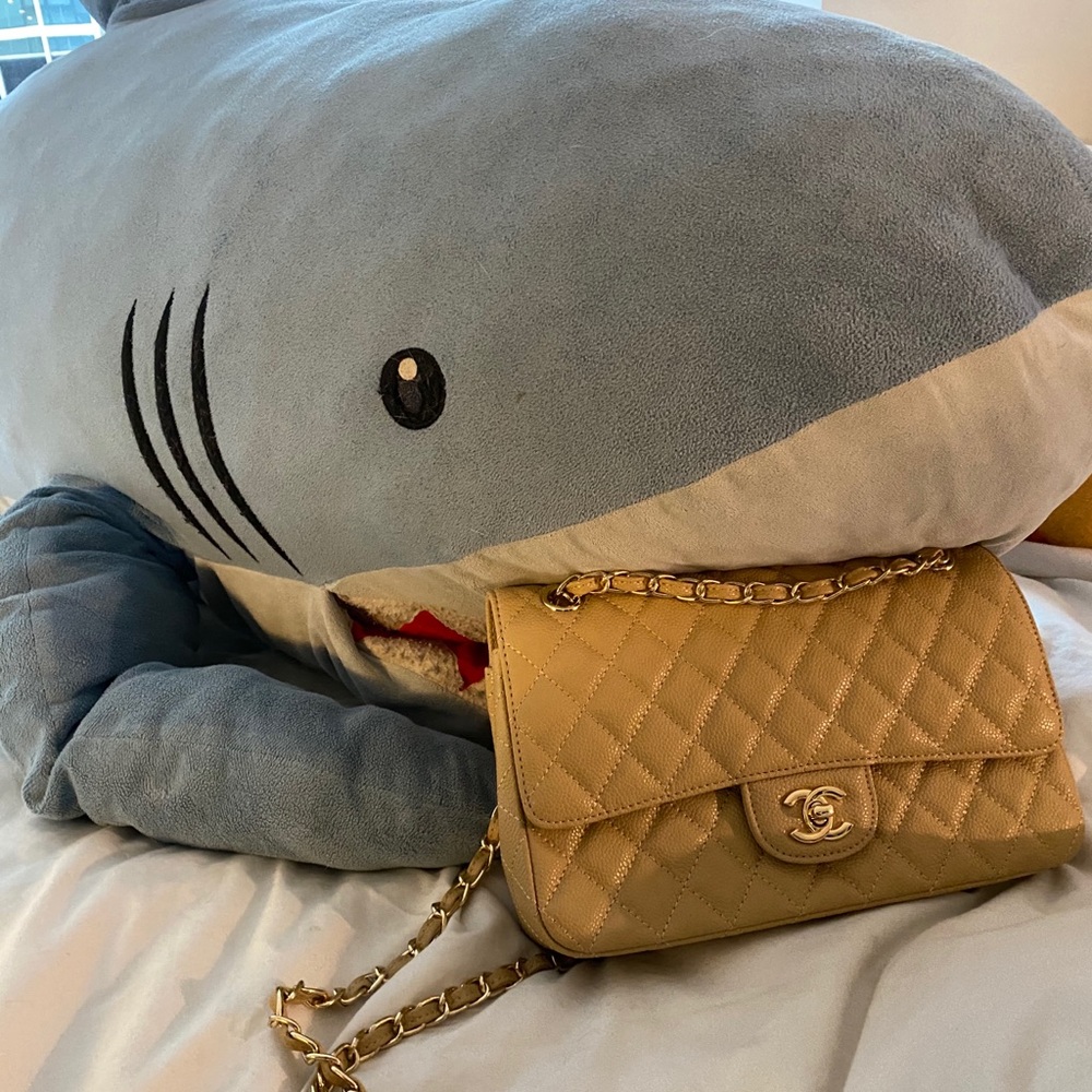 double flap cc clasp bag